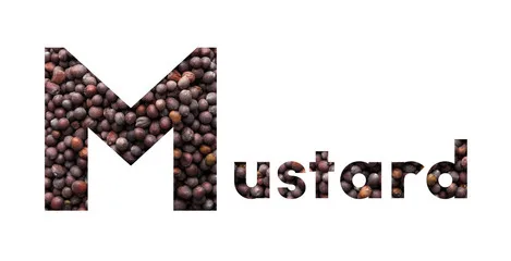 
Mustard Seeds 