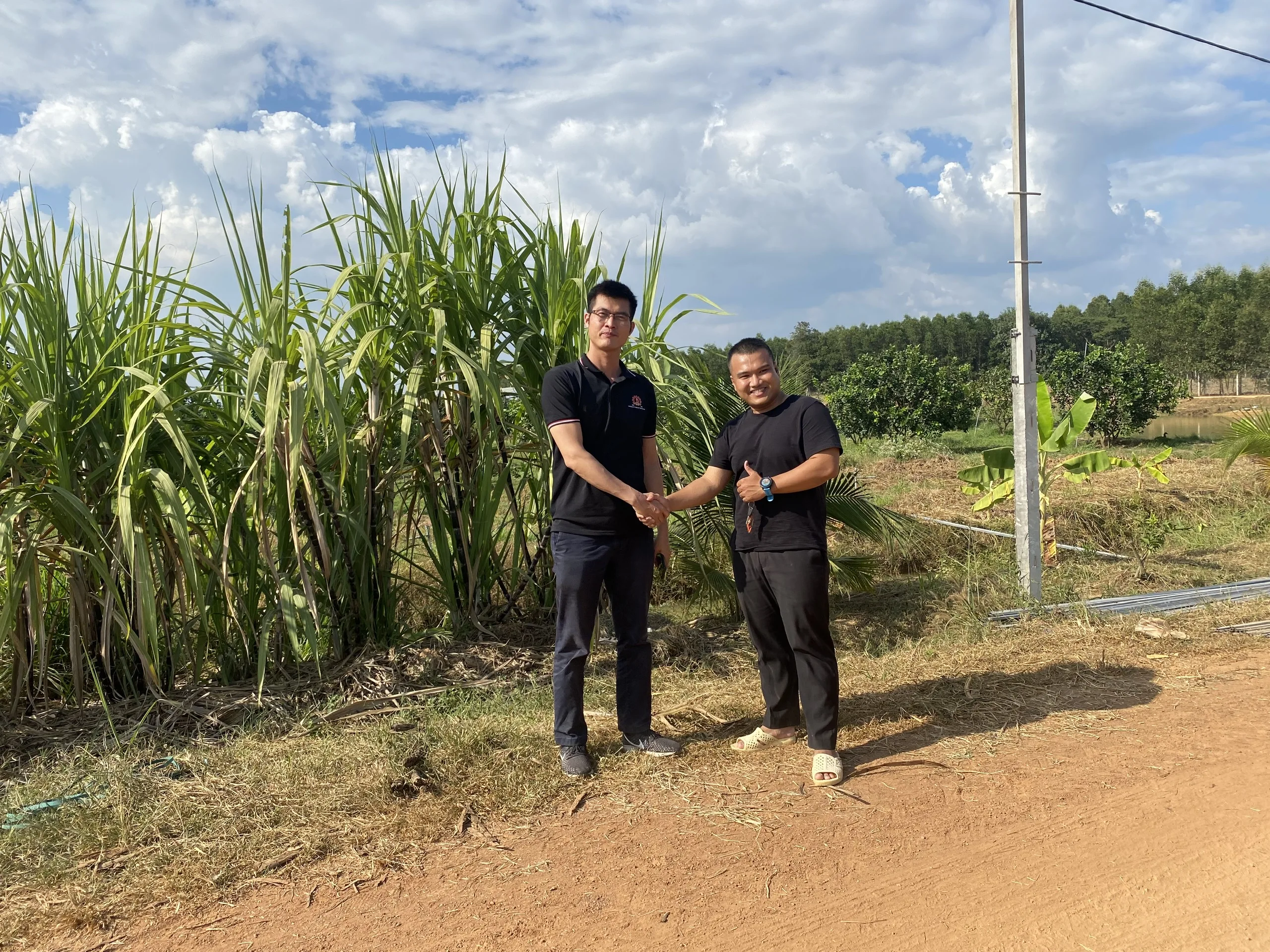 TamEco Vietnam High Performance Supplying Business Services Agricultural product Agency Trading services