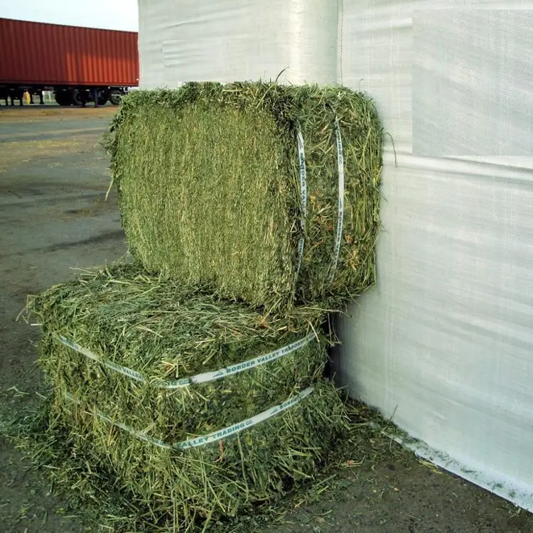 Купить Качественный Альфальфа для кормления животных
