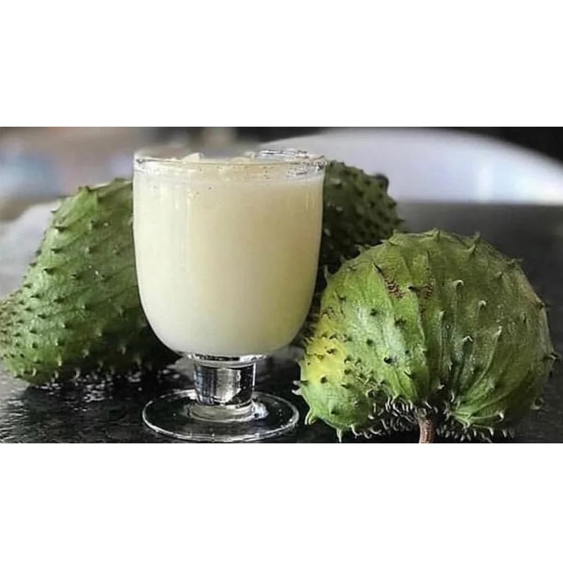 Асептический Упакованные мешоки для стерилизации сладкий без сахара «Холодное сердце» яблоко целлюлозы с семян/без косточек происхождения из Вьетнама