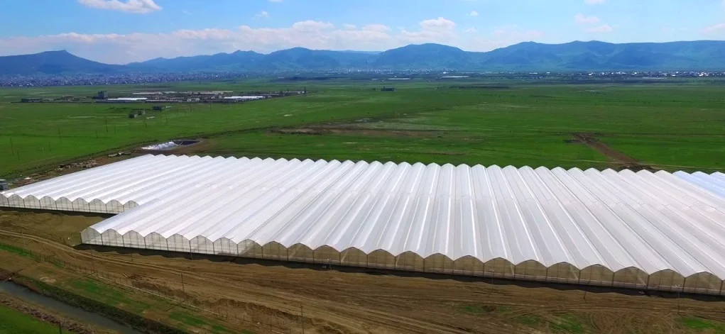 Good quality industrial film greenhouses for all-year vegetable and fruit growing, greenhouse metal frame