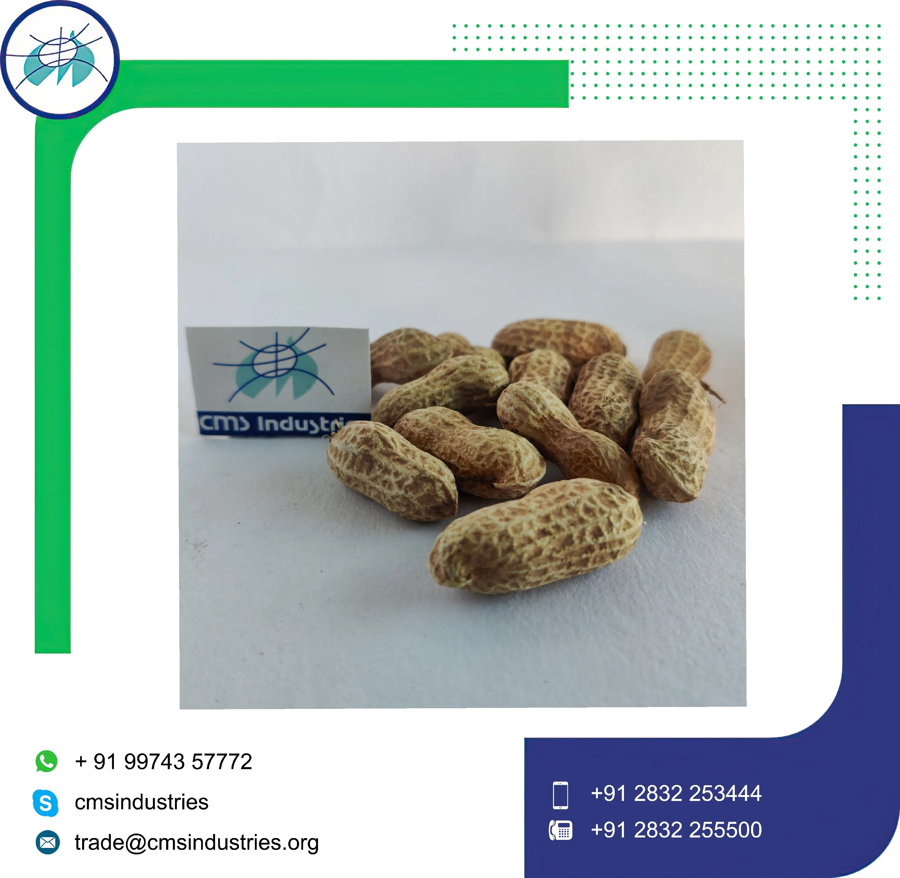 Надежный поставщик заземляющих гаек в корпусе