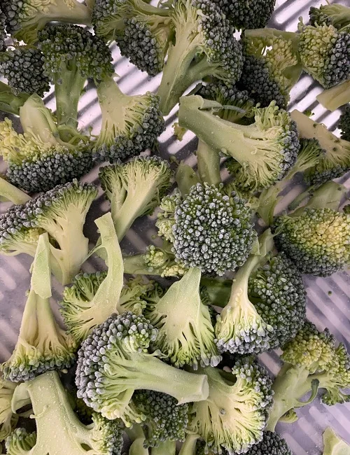 
Supplying frozen broccoli from Vietnam with best price_Vikafoods (+84983028718). 