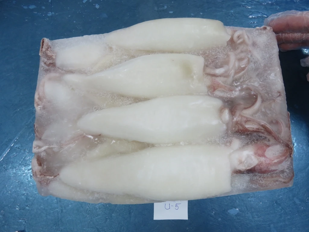 Guaranteed quality proper price Vietnam factory frozen giant squid wings