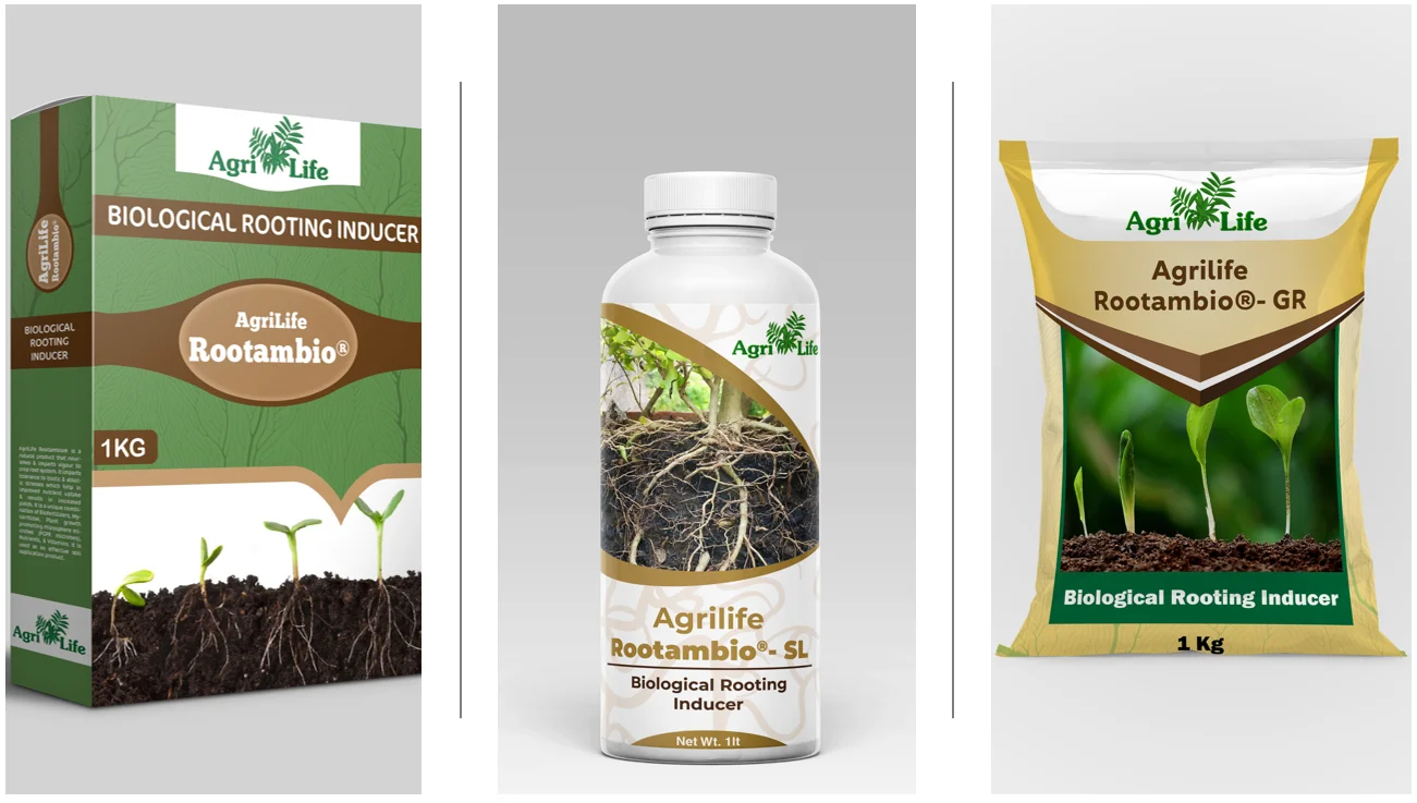 Органическое удобрение из природных водорослей для здоровья почвы средство роста урожая калия мощный корневой рост