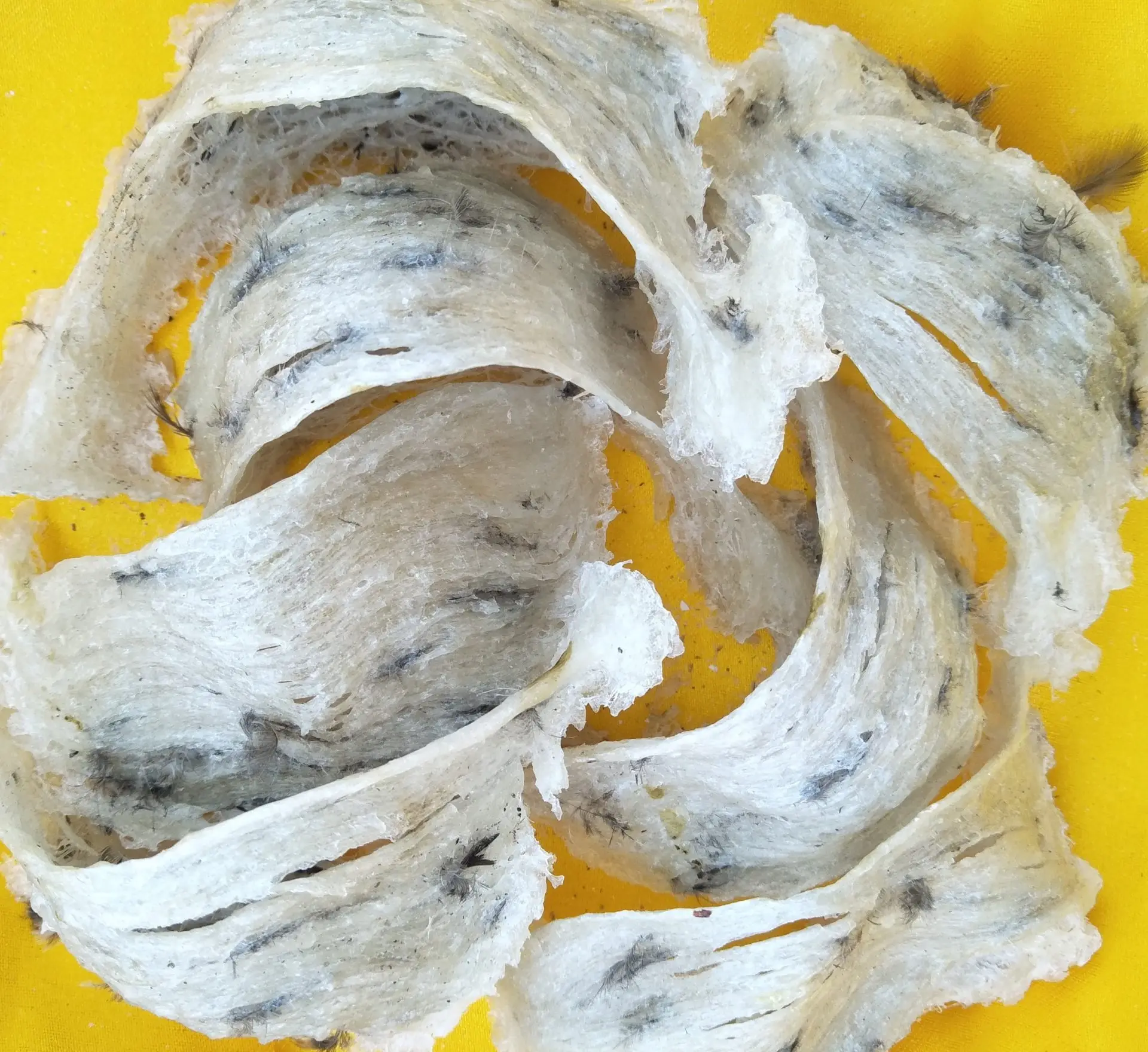 Необработанное Птичье гнездо в тюках 10 кг лучшее качество медицинский поставщик из Вьетнама Антивозрастная хорошая цена