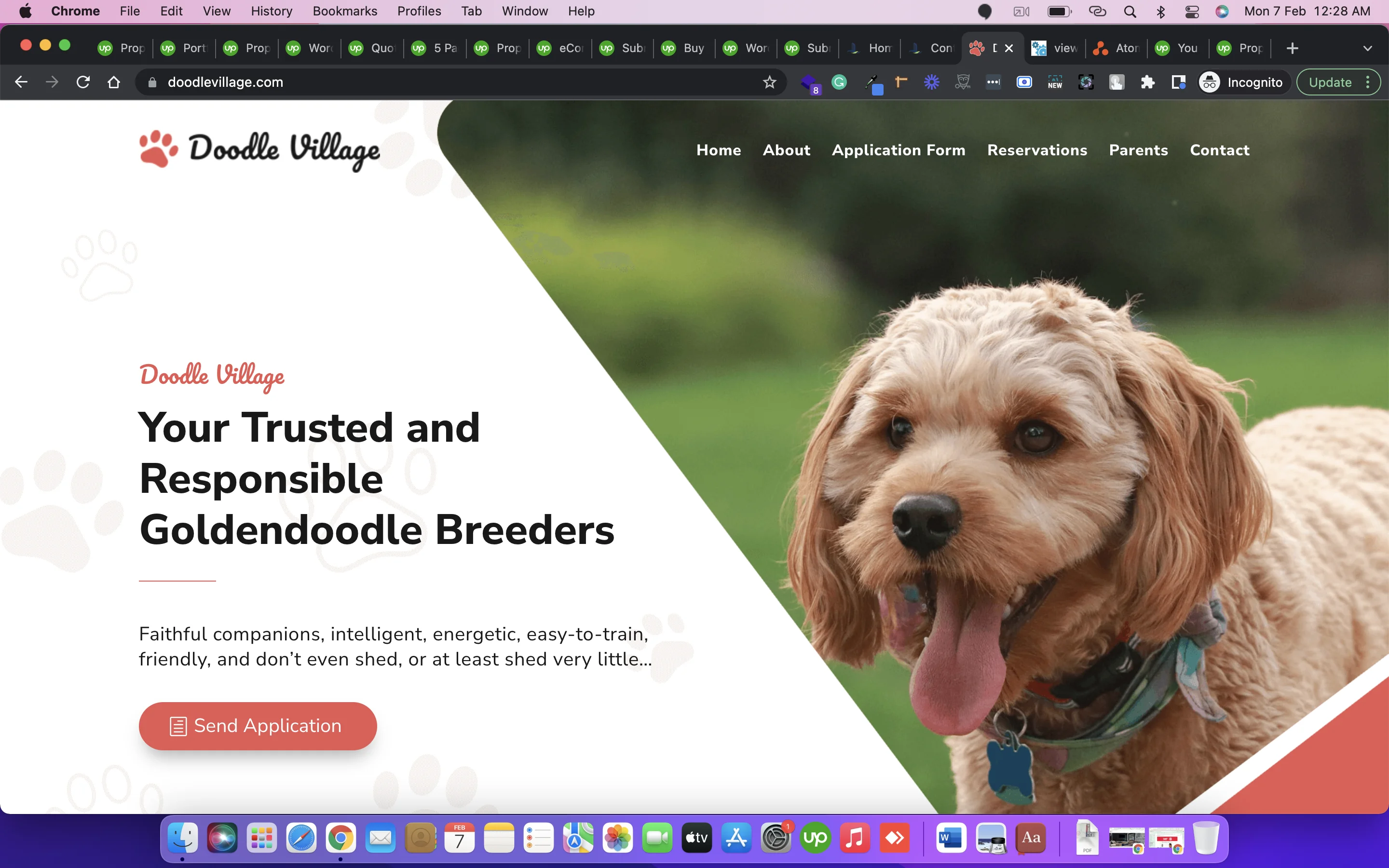 Professional Mobile App Development Android and IOS Application Development Company Custom Software Development company