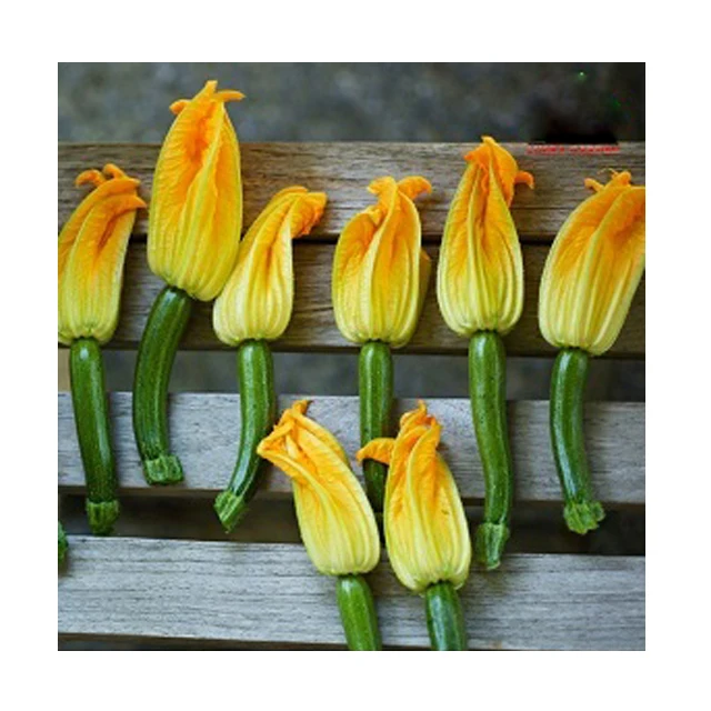 Baby Courgette/ Baby Zucchini100% Pure Natural - Export