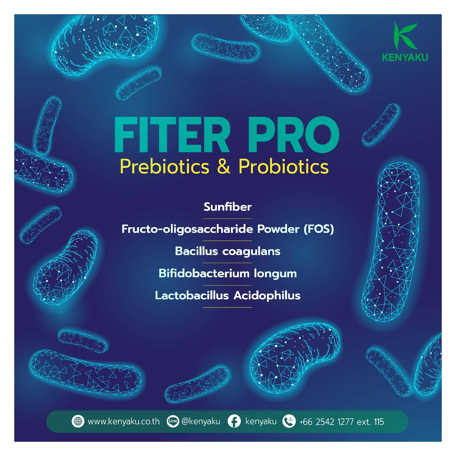 Порошковая форма способствует здоровому пищеварительному системе FiterPro пробиотики и пребиотик для здорового пищеварения кишечника