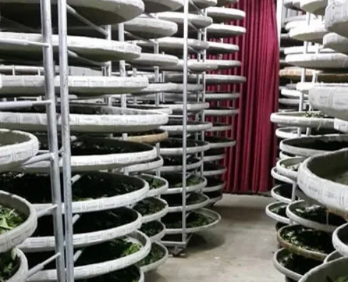 messageImage_1628180101387