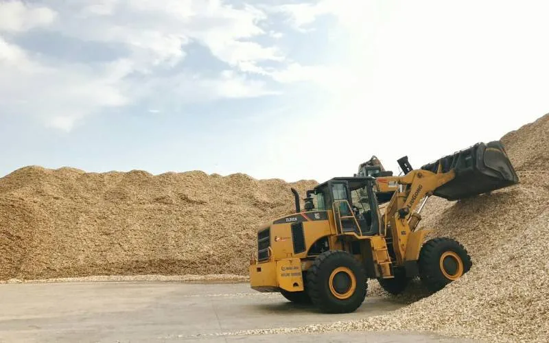 Распродажа вьетнамская Акация // сосна эвкалиптовая древесная щепа для бумаги /// низкая цена