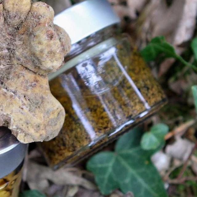 Made in Italy european truffle  gold food, tartufo paste  special , natural top gold