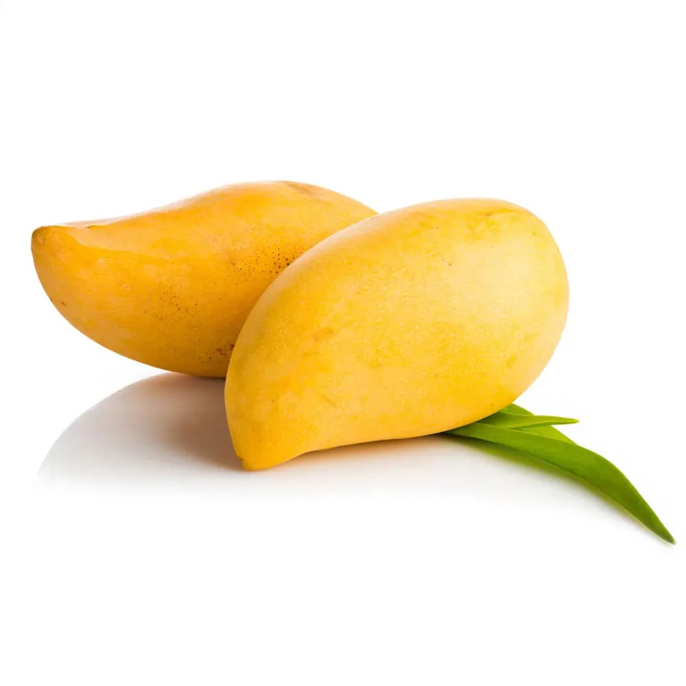 Best Quality Fresh Fruit Mango With Good Price For Wholesale From Pakistan / Wholesale Sweet Mango Fruit