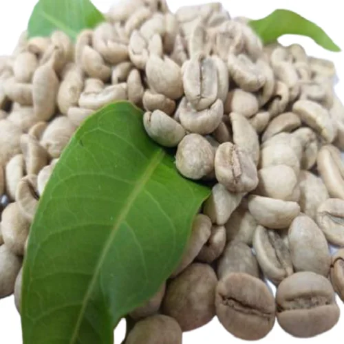  Высококачественная Органическая нежареная Арабика класса 1 из Вьетнама с хорошим вкусом в наличии готов к экспорту