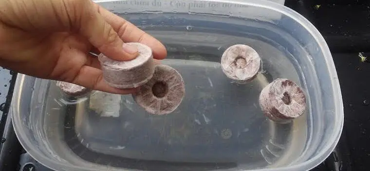 20 шт. кокосовые волокна вилки оптовая продажа койра гранулы кокосовый торф гранул для выращивания растений