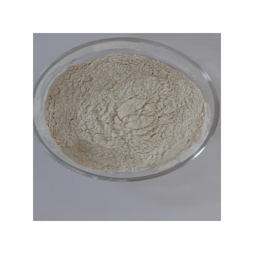 
Bifidobacterium Longum Probiotics - Zealmax Biopharma 