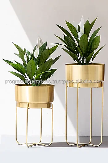 Luxury stylish Flower Pots and Planters wholesale price