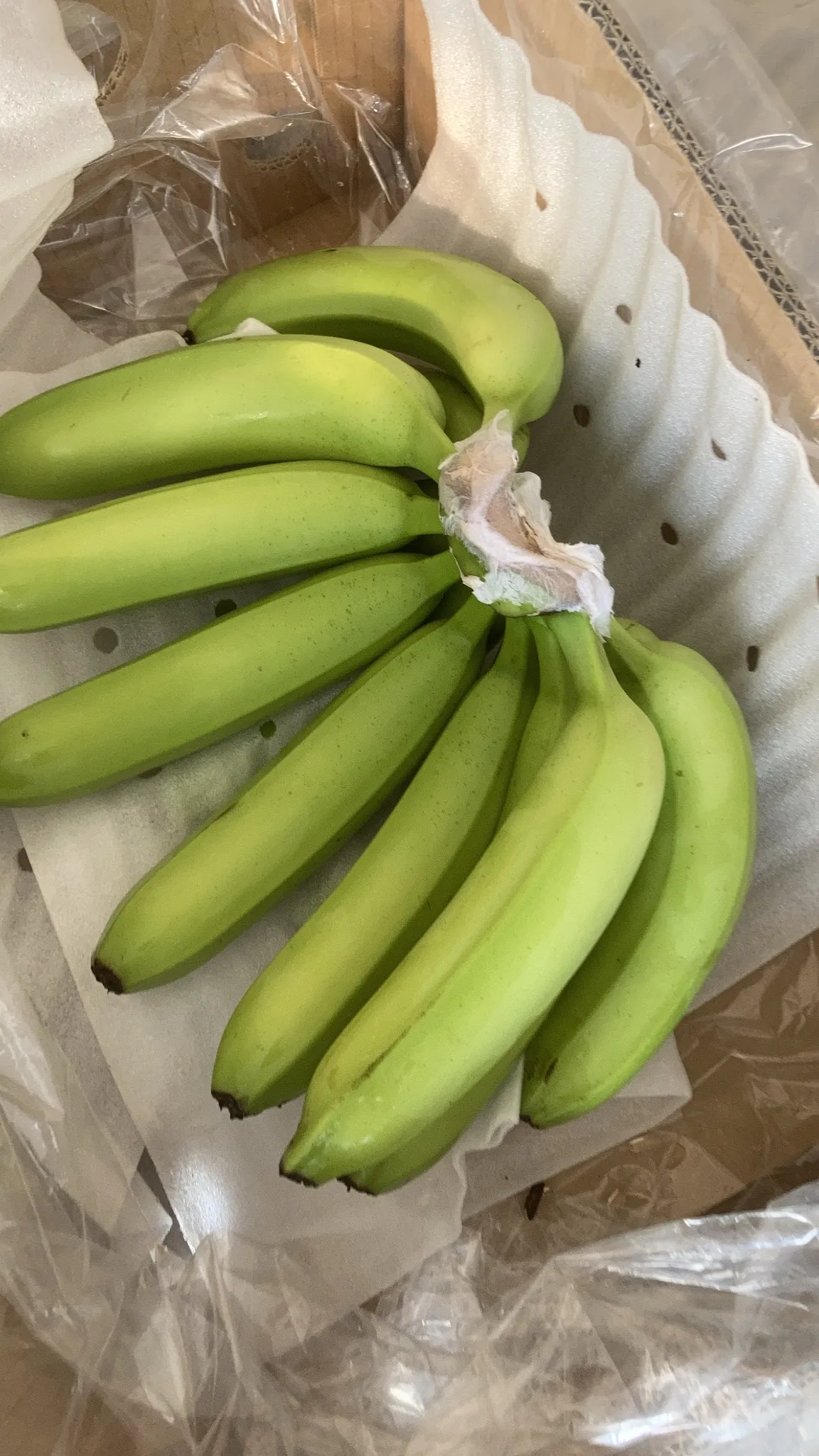 BEST SELLING COMPETITIVE PRICE VIETNAM FRESH BANANA CAVENDISH TO DUBAI MALAYSIA JAPAN KOREA