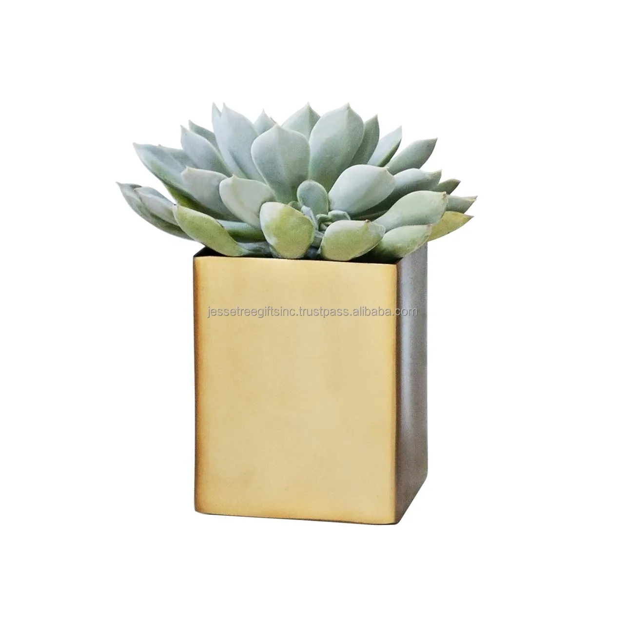 Metal Sheet Planter With White Powder Coating Finishing Embossed Design Oval Shape Genuine Quality For Garden Decoration