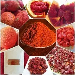  100% органический фруктовый порошок из Вьетнама высокого качества