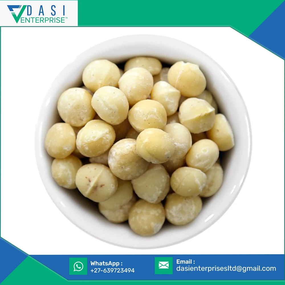 Great Stock Clearing Of Raw Natural Grown Macadamia Nuts For Extract Oil At Cheap Rates