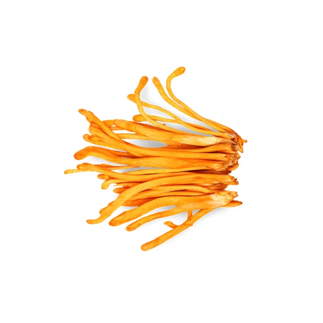 Manufacturer Supply EU and NOP Organic Cordyceps Militaris Extract powder