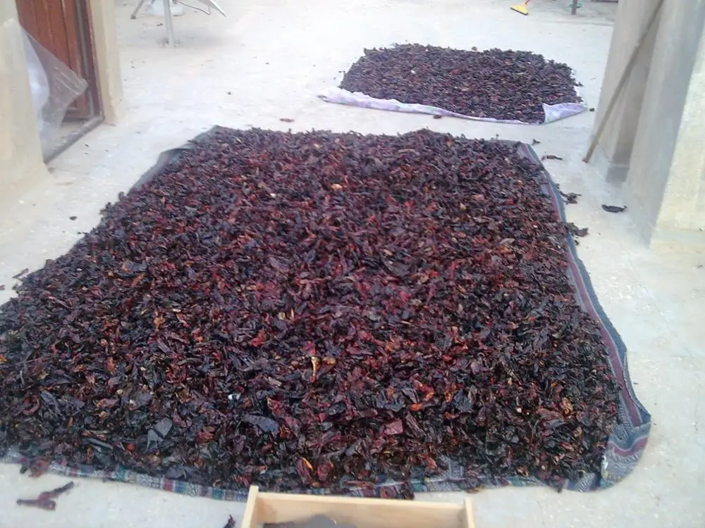 High Quality Roasted Chili Pepper (Isot - Urfa Chili)