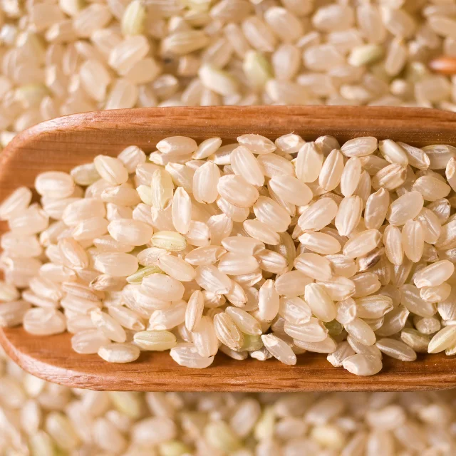 Brown Rice  Good Price For Export Best Quality Brand Manufacturer From Vietnam Hot Selling