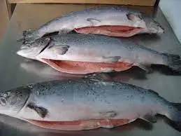 Frozen Whole Round Atlantic Salmon From Norway For Sale
