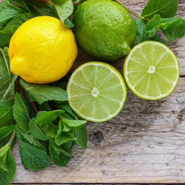 Lemon export good price/100% Natural/ Fresh Green Seedless Lemons from Vietnam/Jolene HH +84336089155
