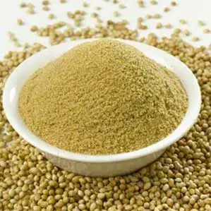 coriander seeds whole premium quality eagle india wholesale price