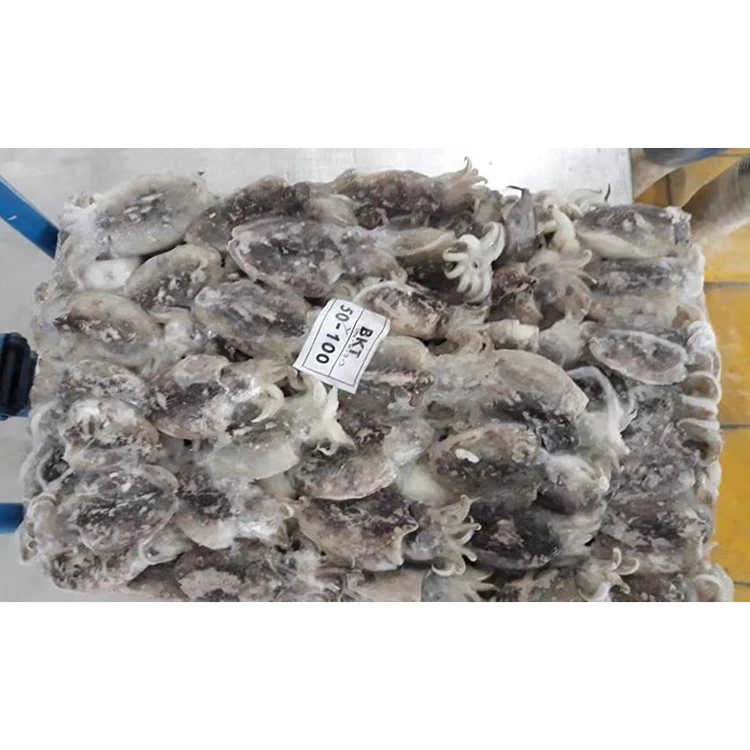 
Best Seller Export Nutritious Frozen Frozen Cuttlefish 