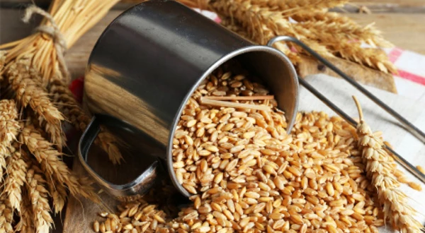 DURUM WHEAT