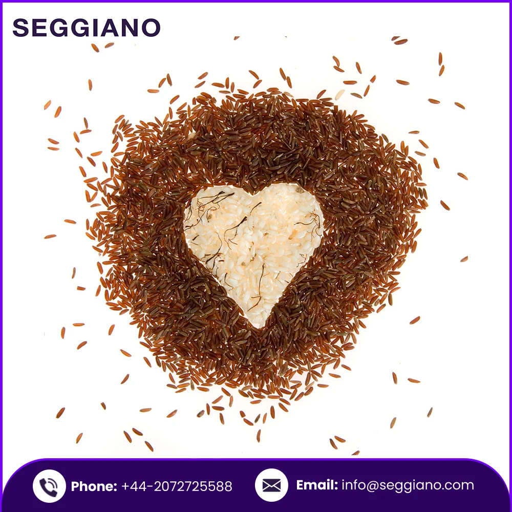 Best Quality Wholesale Factory Price Seggiano Wild Red Rice 500g