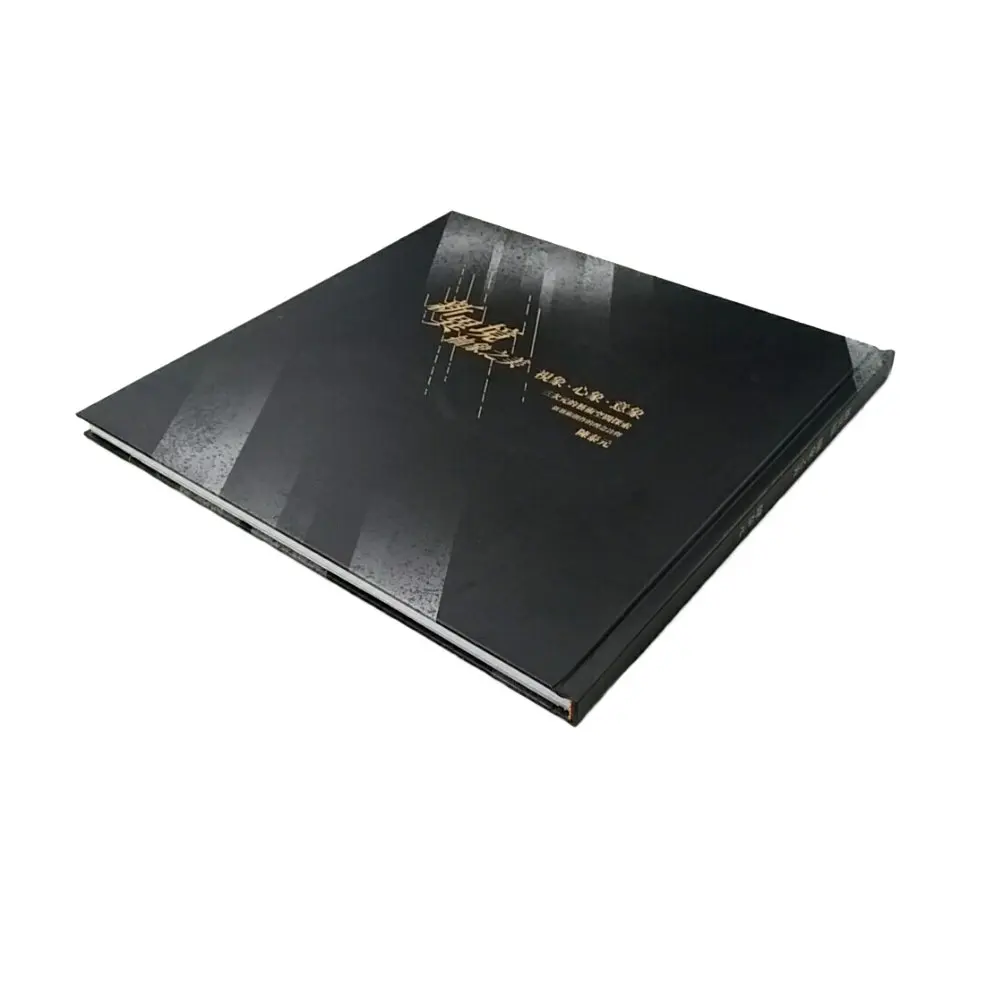 Профессиональное Портфолио из Тайваня Художественная печать книг