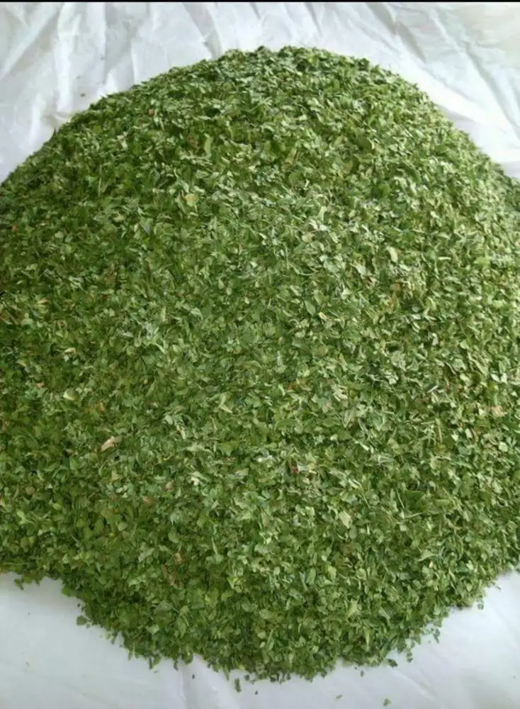 
Best seller Dried Celery leaves -BEST QUALITY, BEST PRICES (SPICES LAND FOR EXPORT) 