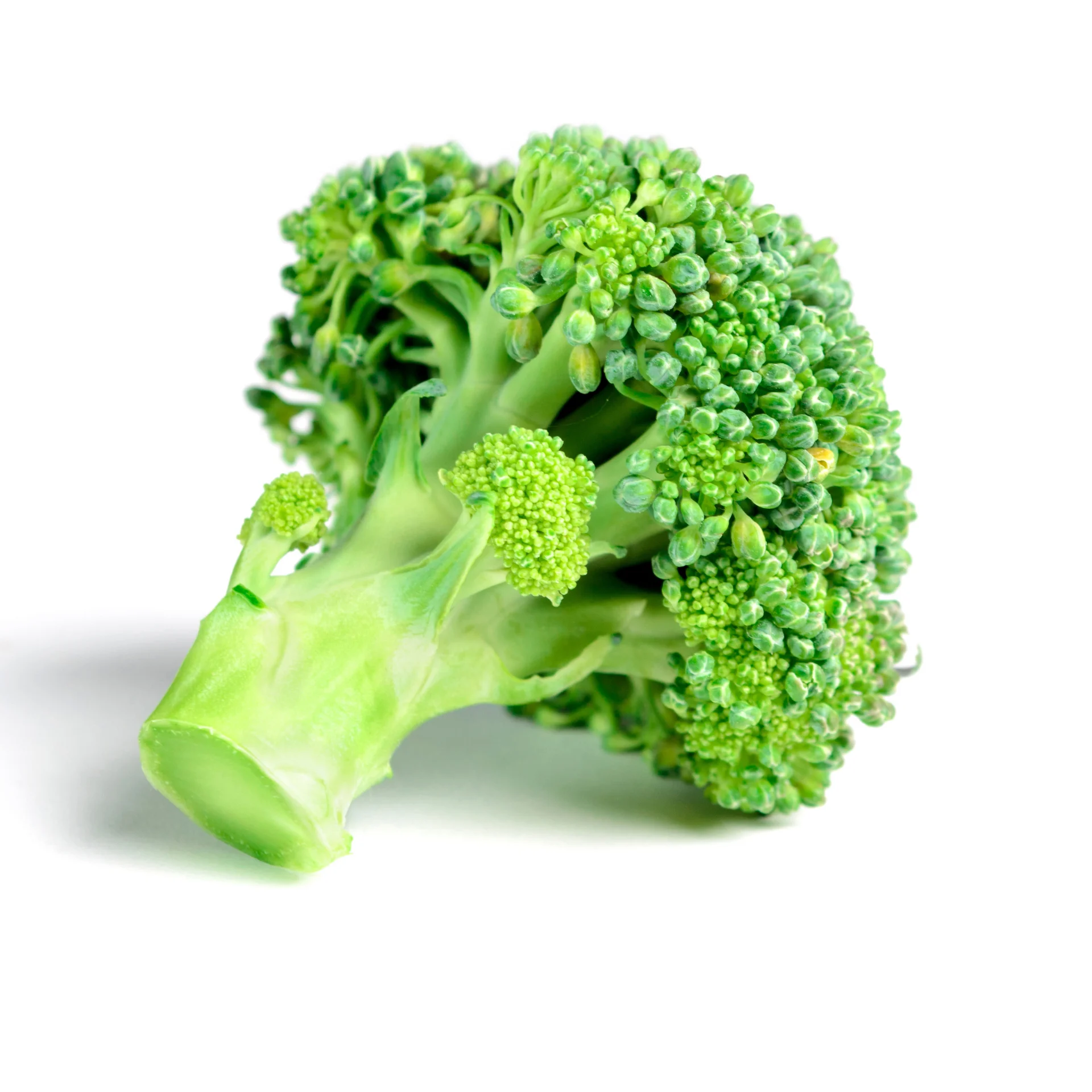 Broccoli - High quality