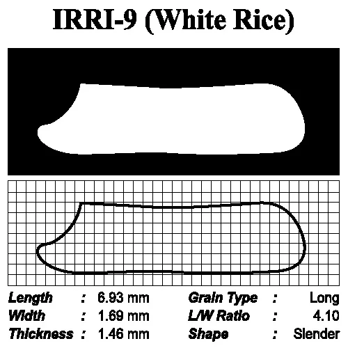 С высоким содержанием белка чистый натуральный Пакистан IRRI-6 СЕ (пропаренный) Длинная рисовая зёрна