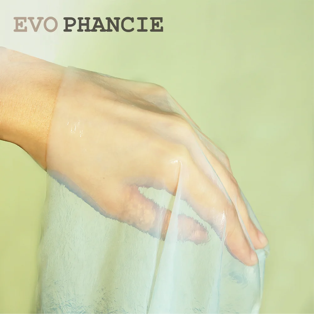 Bio cellulose sheet bio cellulose membrane