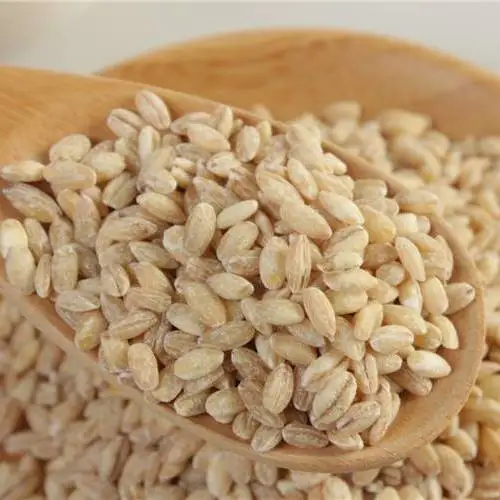 Wheat From Ukraine Dried Grade 3 Wheat Grain best wholesale price