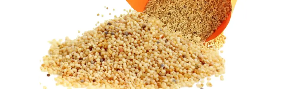 High Class White Poppy Seeds