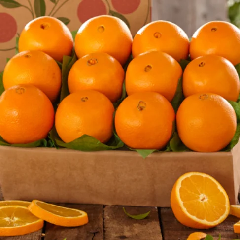 Orange Fruits