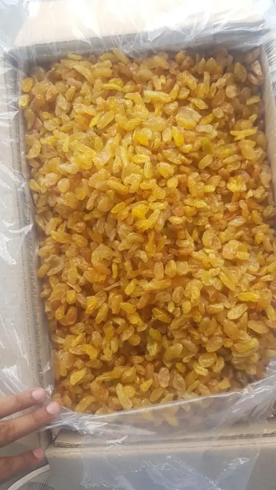  Индийский