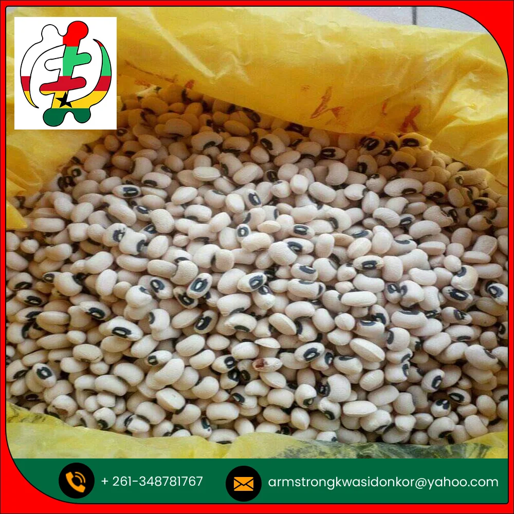 Оптовая продажа бобов для глаз черного цвета с высокой степенью чистоты по оптовой цене