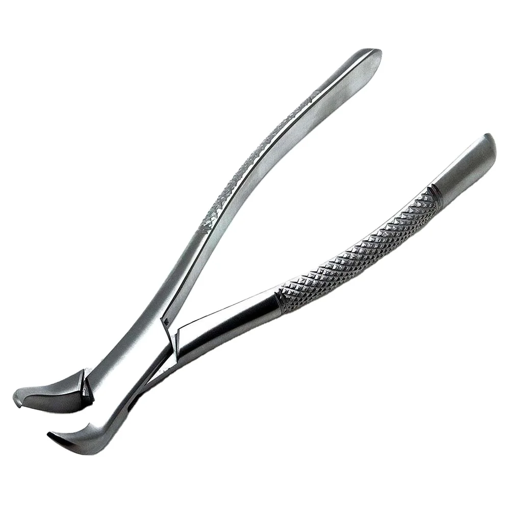 Top Quality Forceps Lower Molar Root Teeth Dental Extraction , Medical Dental Equipment