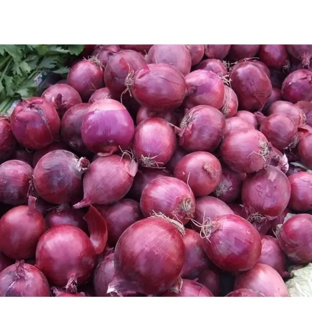 Высококачественный чистый свежий | Нашик красный лук Экспортер Индия Глобальный торговый дом