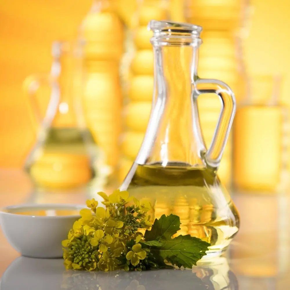 Wholesale Canola Oil, Rapeseed oil, bulk canola oil for sale Ukraine Oil Rapeseed Wholesale cheap price