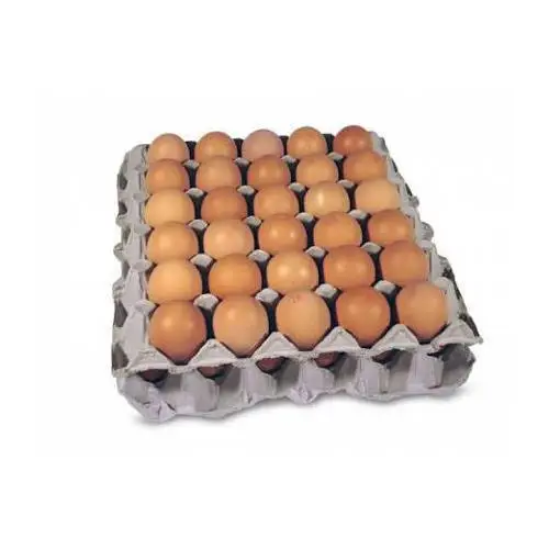 Wholesale Fresh Chicken Brown & White Table Eggs Hatching Chicken Eggs