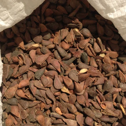 Высокая производительность, лимон, фруктовое дерево, дракон, Упаковочная полка, натуральный оригинал, картонные коробки, тип сертификата, сделка, различные продукты, свежие места