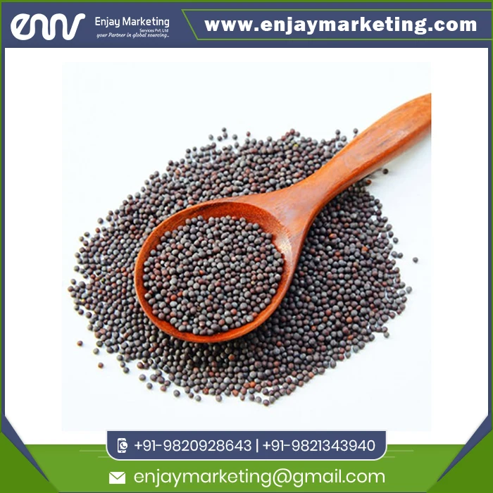 Popular Mustard Black with Custom Packing or Logo Print Buy at Wholesale Price